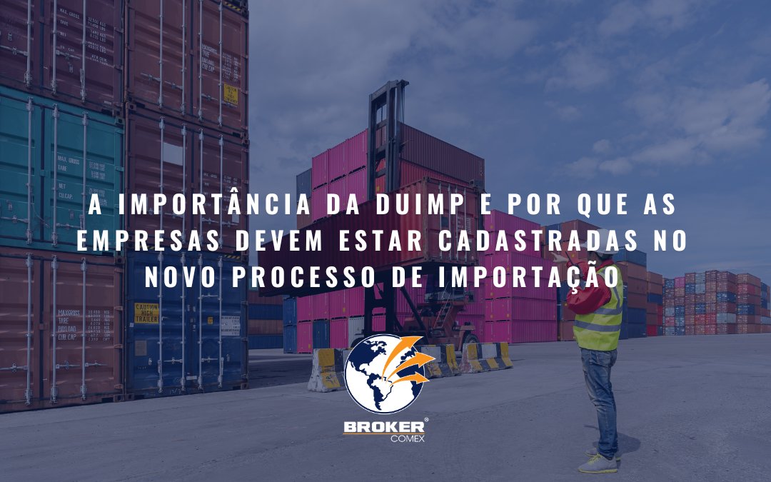 A importância da DUIMP e por que as empresas devem estar cadastradas no novo processo de importação