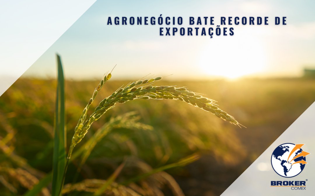 Agronegócio bate recorde de exportações em 2021 e movimenta US$ 102 milhões